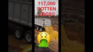 117000 Rotten Eggs 🤮 gross [upl. by Peltz]