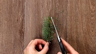 Weihnachtsbaum im Glas als DIY Weihnachts Deko [upl. by Yelnek165]