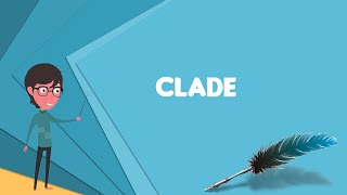 What is Clade Explain Clade Define Clade Meaning of Clade [upl. by Kerad]