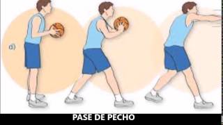 FUNDAMENTOS DEL BALONCESTO [upl. by Ijat]