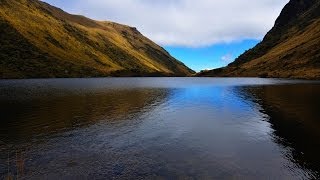 Documental El Agua de los Paramos y bosques de neblina [upl. by Henson260]