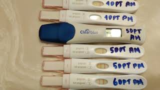 PREGNANCY TEST  89DP5DT  44 YRS OLD  IVF OWN EGGS [upl. by Drewett]