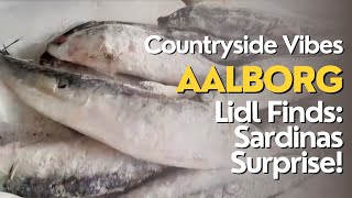 Discover Aalborg Countryside amp Lidl Finds Sardinas Surprise 🇩🇰 [upl. by Stoecker]