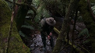 Delatite river trout fishing [upl. by Nedah]