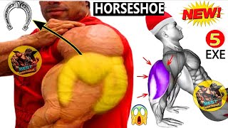 Tricep Tear Down  5 Exercises to Build MASSIVE Horseshoe Triceps [upl. by Yelssew]