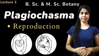 Plagiochasma  Reproduction  Botany  B Sc amp M Sc [upl. by Ilanos43]