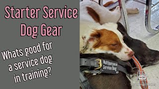 Starter Service Dog Gear Items I Recommend With a New Service Dog [upl. by Liryc698]