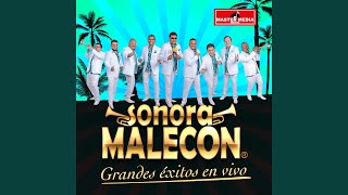 Sonora Malecón Mix en Vivo [upl. by Aihsatsan]