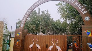 Okhla bird Sanctuary Vlog  delhi delhivlogger youtuber park party nature naturephotography [upl. by Monti]