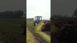 FRONT MOUNTED REAPER MACHINE ON MAN shorts viraltrendingsatisfyingfarmershortscropmanagement [upl. by Philip603]