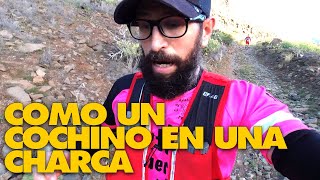 Gozando en la Transgrancanaria 2021 🏔🏃 [upl. by Veneaux]