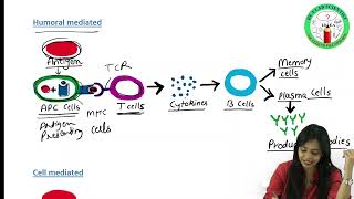 Antigen PART I  Types of Antigens  Immunogenicity  Antigenicity  Complete amp Incomplete Antigens [upl. by Silvano921]