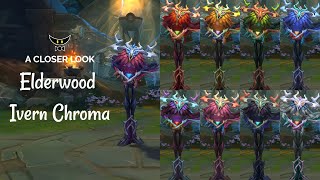 Elderwood Ivern Chromas w Daisy [upl. by Seidnac]