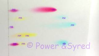 Food colouring chromatogram [upl. by Rinee69]