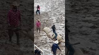 The Bull Ride 2024 Rodeo performance oakdale prorodeo cowboys rodeo bullbulls bullriderreel [upl. by Banquer]