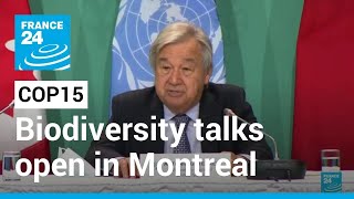 COP15 Highstakes UN biodiversity talks open in Montreal • FRANCE 24 English [upl. by Oballa]