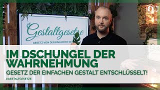 Das Gesetz der einfachen Gestalt erklärt  Im Dschungel der Wahrnehmung [upl. by Els]