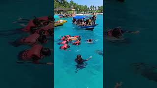 Perhentian IslandTerengganu snorkeling amp diving trip [upl. by Acirretahs]