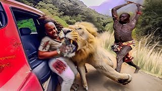 20 Times African Safari Trips Went Horribly Wrong [upl. by Husain]