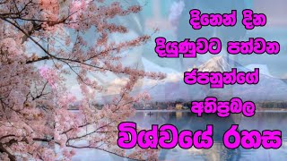 ජීවිතය වෙනස් කරගන්නජපන් පාතිකයින්ගේ විශ්වයේ රහස IKIGAI  A Japanese Philosophy for Finding Purpose [upl. by Anai]