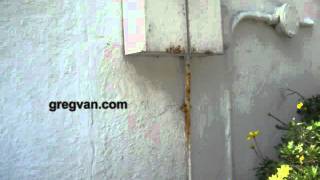 Rusting Electrical Conduit On House  Building Maintenance Tips [upl. by Medlin]