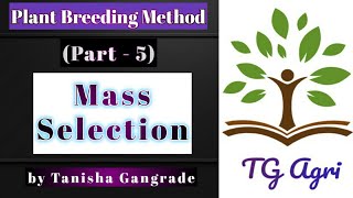 Mass selection  Plant Breeding Method by Tanisha Gangrade [upl. by Llehcear664]