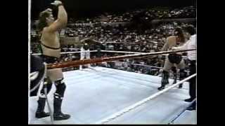 Demolition Smash amp Crush vs jobbers WWF PTW 1990mpg [upl. by Maure]