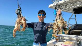 LOBSTER MINI SEASON 2024  Catching Bugs for Floridas New Mini Season  Catch n Cook [upl. by Yarised]