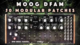 Moog DFAM Modular Grooves PatchesPatterns No Talk Demo [upl. by Wera]