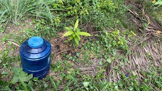 I Created a Drip Irrigation Bottle to Save Water for Plants to Prevent Drought [upl. by Patsy]