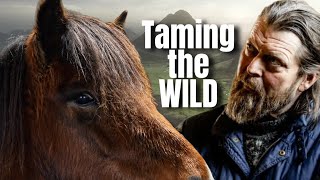 ICELANDIC HORSES  FROM WILD TO WILLING WITH HORSEMANSHIP [upl. by Elyssa]