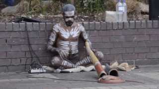 Australian Aboriginal Music Played by The Aboriginal Australians [upl. by Pelmas575]