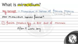 What is miracidium [upl. by Lovering88]