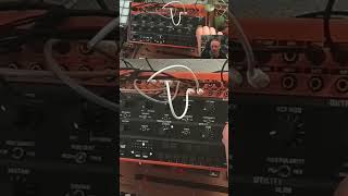 Behringer Crave Tutorial Patches amp Samples Tips [upl. by Eelrihs685]