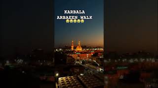 KARBALA ARBAEEN WAIK hussainliveinheartme karbalastatus voice of ahlebait😭😭😭😭😭😭 [upl. by Buerger406]