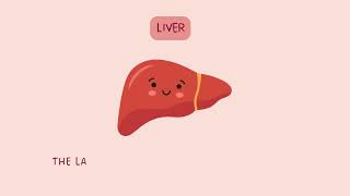 Unlocking the Secrets of Accessory Glands Salivary Glands Liver and Pancreas Explained  IGCSE [upl. by Ecnaralc]