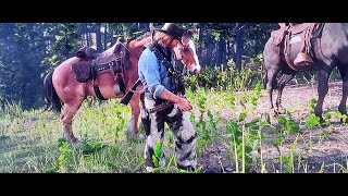 Red Dead Redemption 2 William Shows Arthur How To Craft The Special Horse Stimulant [upl. by Anilatsyrc]