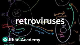 Retroviruses  Cells  MCAT  Khan Academy [upl. by Hosfmann755]