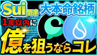 【完全保存版】SUIスイ関連本命トークン「Cetus」で億を狙う！根拠～仕込み時まで”億のロードマップ”を徹底解説【仮想通貨】 [upl. by Nikita]