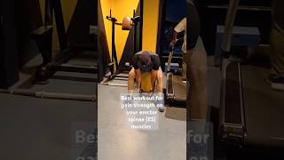 best workout for erector spinae ES muscles [upl. by Lawlor341]