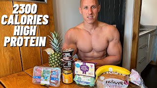 Full Day of Eating 2300 Calories  Super High Protein Diet For Fat Loss [upl. by Vonnie]