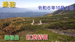 紅葉が見頃になった乗鞍岳です。ダケカンバの色合いが、ピークになりつつあります。今年の紅葉は、ナナカマドが良くありません。５号カーブのナナカマドが、唯一良い状態を保っています。（20241002） [upl. by Htir]