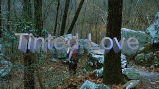 Drex Carter  Tinted Love Official Video [upl. by Sokairyk]