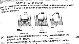 Biology paper 2 Osmosis Exam revision questions and answers [upl. by Wunder]