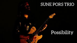 Sune Pors  Possibility [upl. by Fondea]