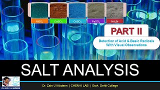 Salt Analysis  Detection of Acid amp Basic Radicals  Visual Observations  Chemistry XII Practical [upl. by Adnolehs]