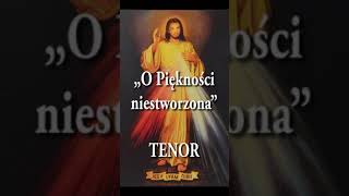 quotO Piękności niestworzonaquot TENOR Parafia świętej Barbary w Pionkach 2024 [upl. by Calandria]