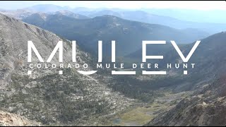 DIY Colorado Mule Deer [upl. by Sirromad]