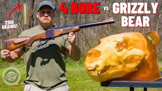 4 BORE Rifle vs Grizzly Bear 🐻 The Biggest Rifle Ever [upl. by Maurine705]