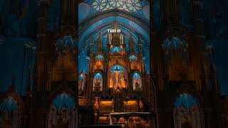 Notre dame Basilica Montreal Canada shortsfeed travel gothiccathedral shorts explore [upl. by Jimmie]